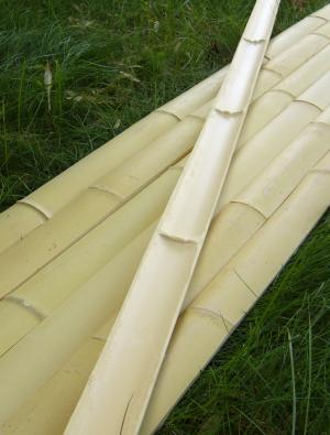 bamboo wainscot, bamboo paneling
